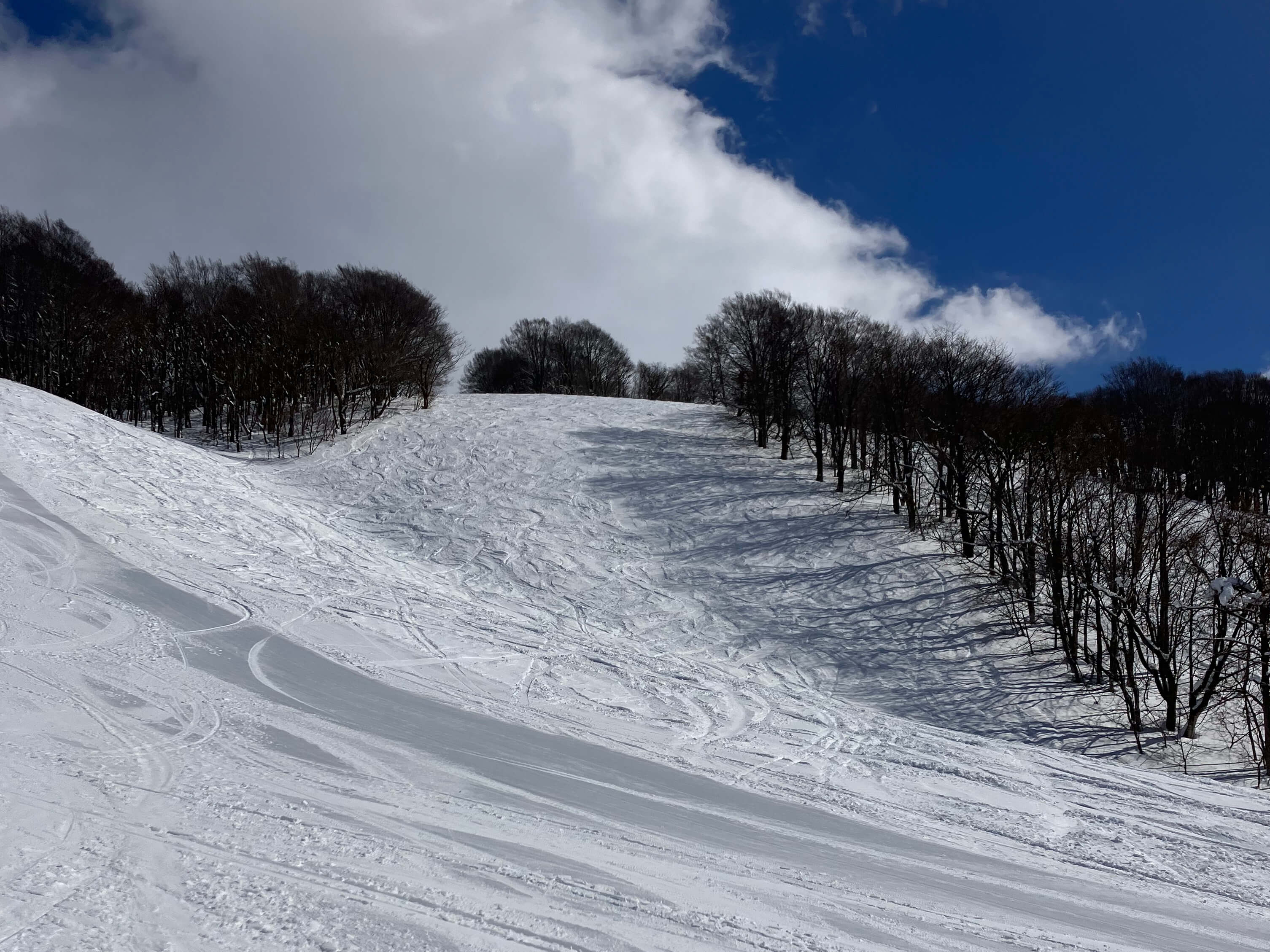 Blogs: ski image